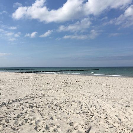 Seepferdchen Ostseeheilbad Ostseeheilbad Zingst Exterior foto