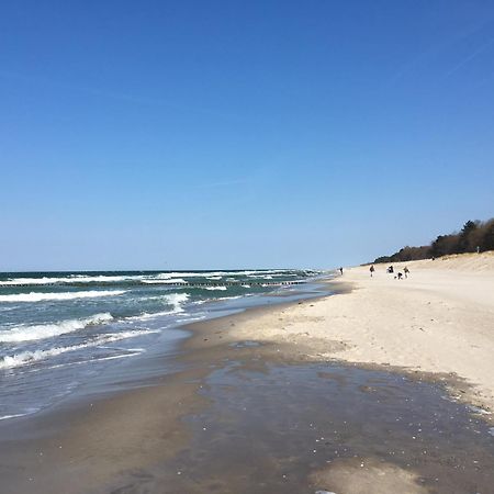 Seepferdchen Ostseeheilbad Ostseeheilbad Zingst Exterior foto