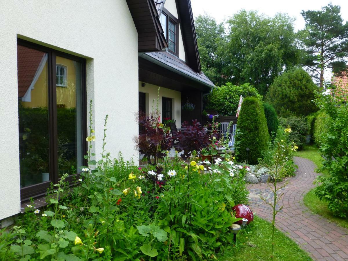 Seepferdchen Ostseeheilbad Ostseeheilbad Zingst Exterior foto